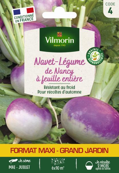 Potagères - Navet-Légume de Nancy à Feuille Entière - Grand Modèle - face recto